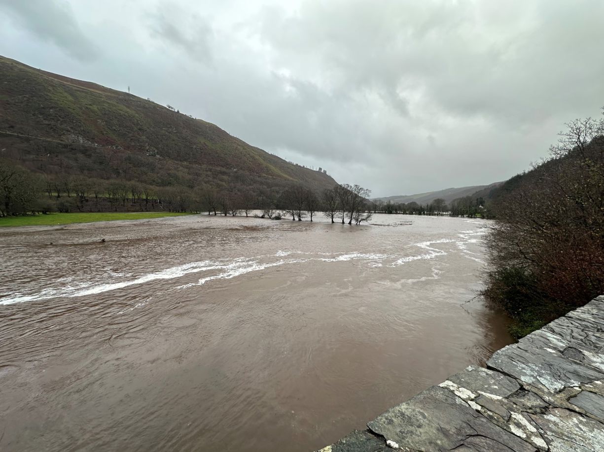 River overflowing with water