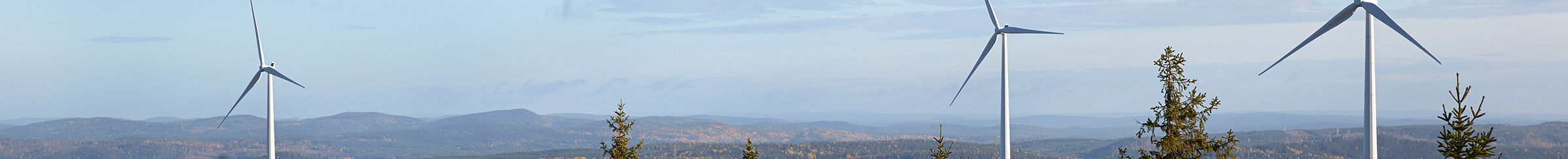 Wind turbines in a forest area